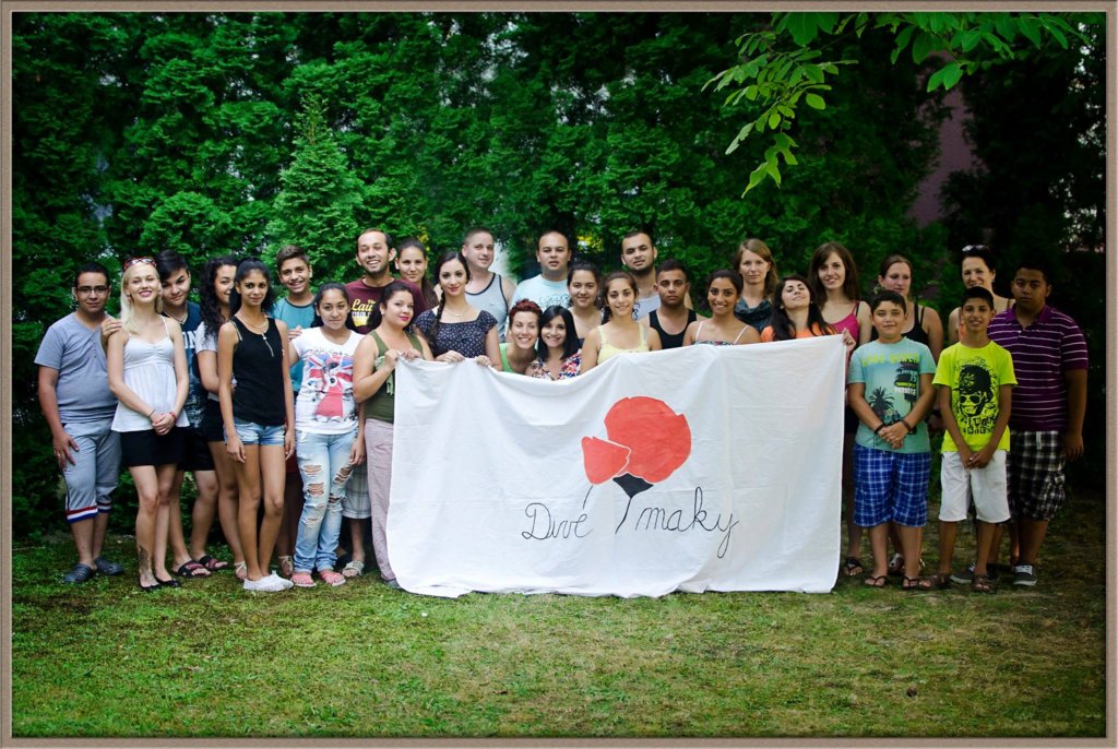 Provide Education for Talented Roma Children