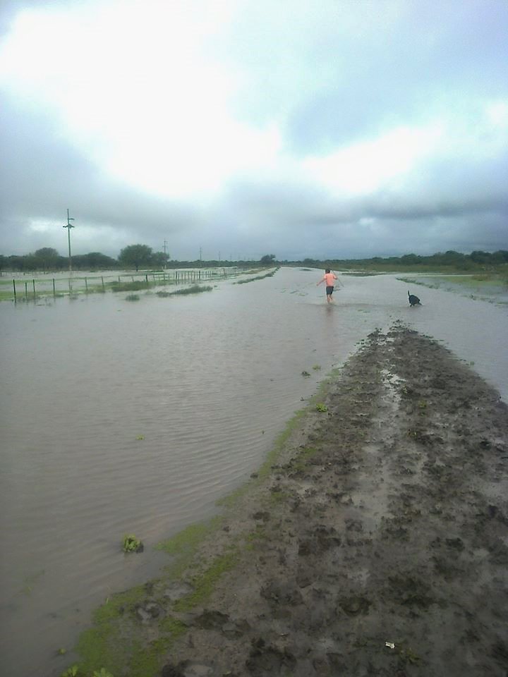 Rural Schools Affected by Floodings