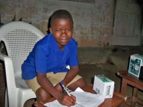 Learning with a solar radio