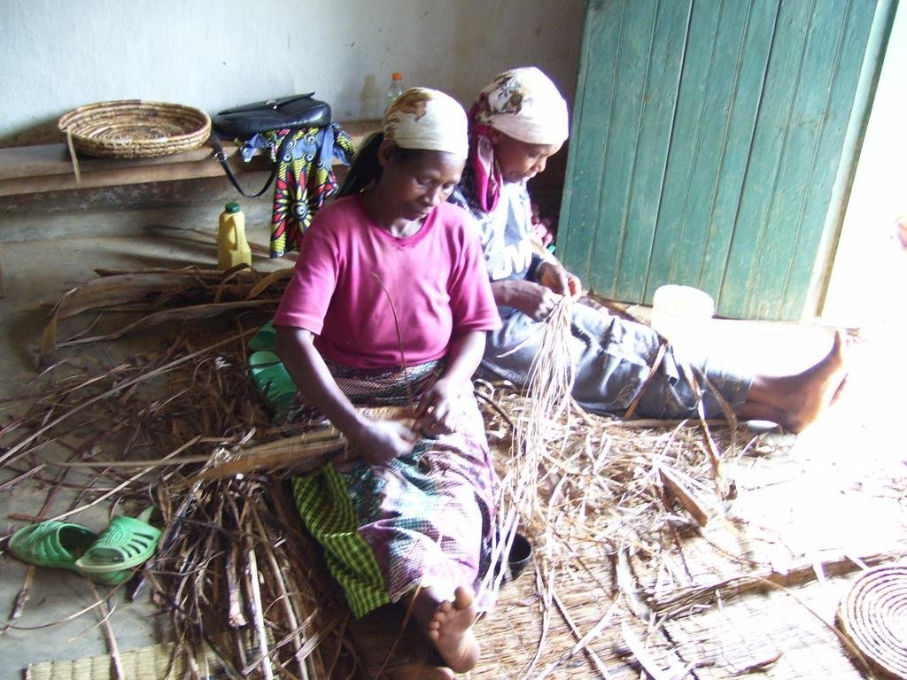 Environmental jobs for 50 impoverished Rwandans