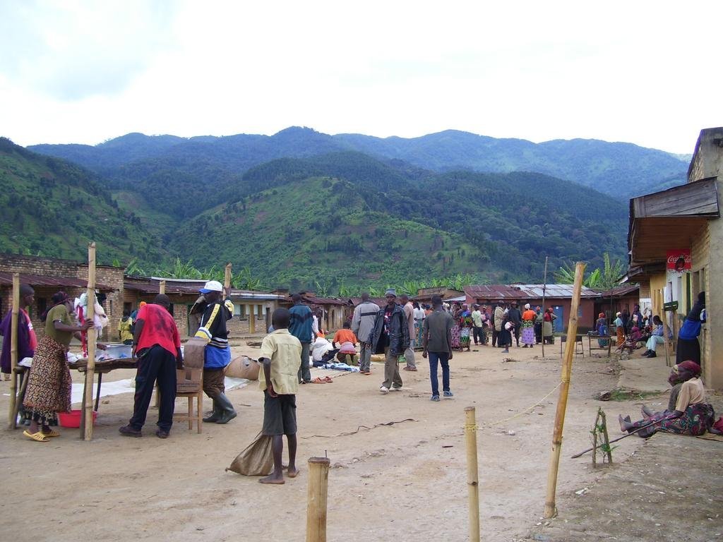 Environmental jobs for 50 impoverished Rwandans