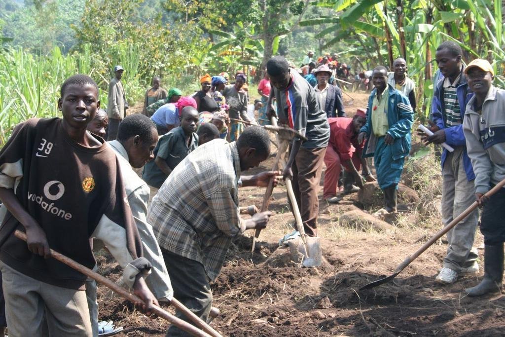 Environmental jobs for 50 impoverished Rwandans