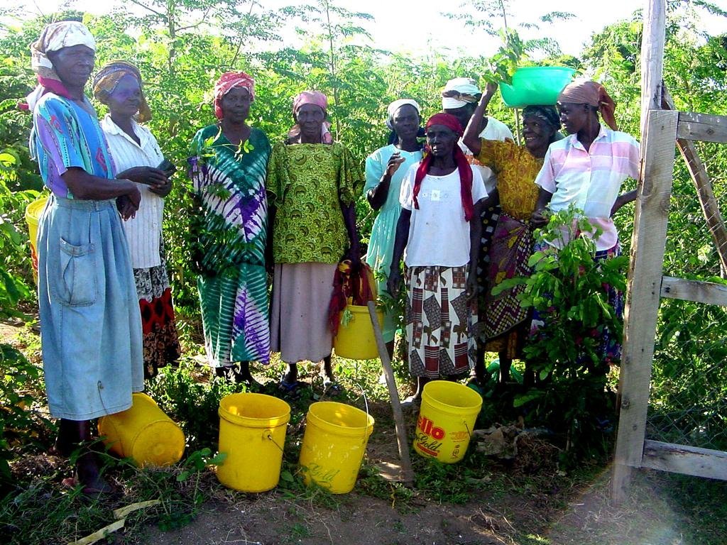 Environmental jobs for 50 impoverished Rwandans