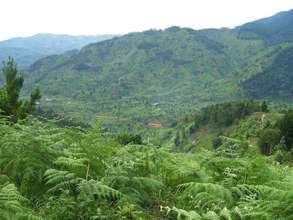 Nyungwe Forest meets Banda Village