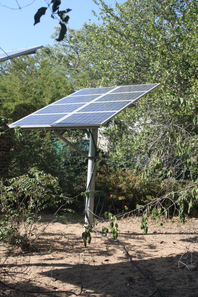 Make DAKTARI Greener with New Solar Batteries