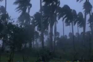 Typhoon Rolly Landfall