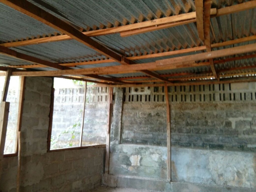 Poultry of 500 Chicken Providing a 3-Fold Benefit