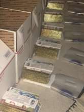 First Shipment to Lecanto Primary