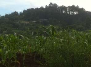 Subtle School Buildings on the Hill