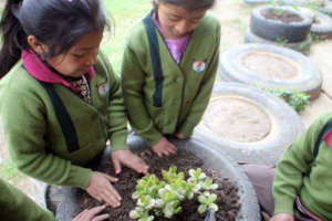 Planting with tires