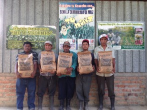 Ochomogo farmers holding the QPM they'll plant