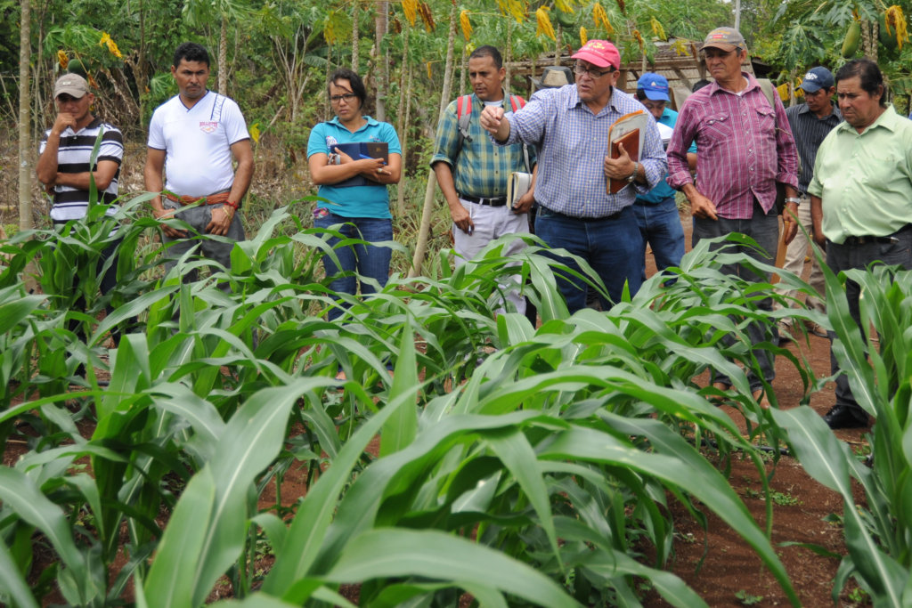 Help 5 Farmers in Nicaragua Produce 20,000 Meals