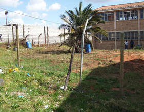 The land before work was done