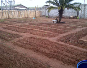 The vegetable garden completed