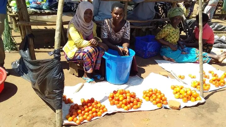Women Lead Food Security