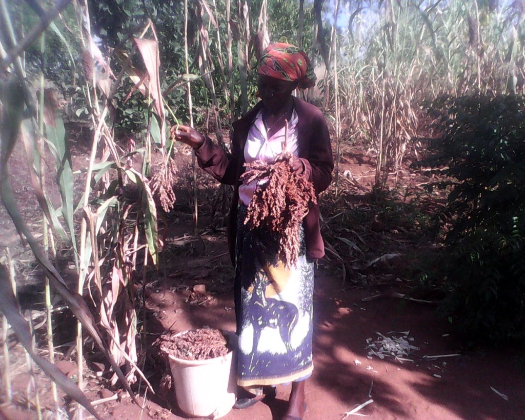 Women Lead Food Security
