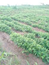 Gender gap project pics