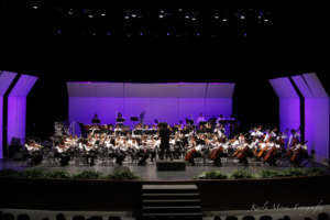 Musica para la Vida Symphony Orchestra