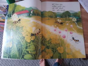 Inside pages from Busy Bees