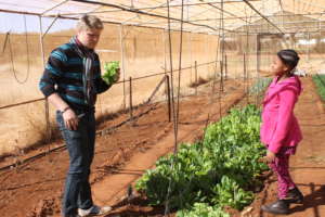Planting vegetables
