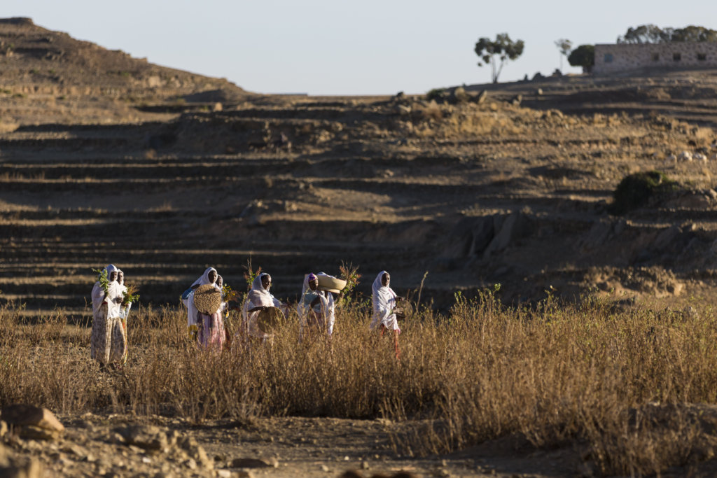 Ecological Ovens - Eritrea