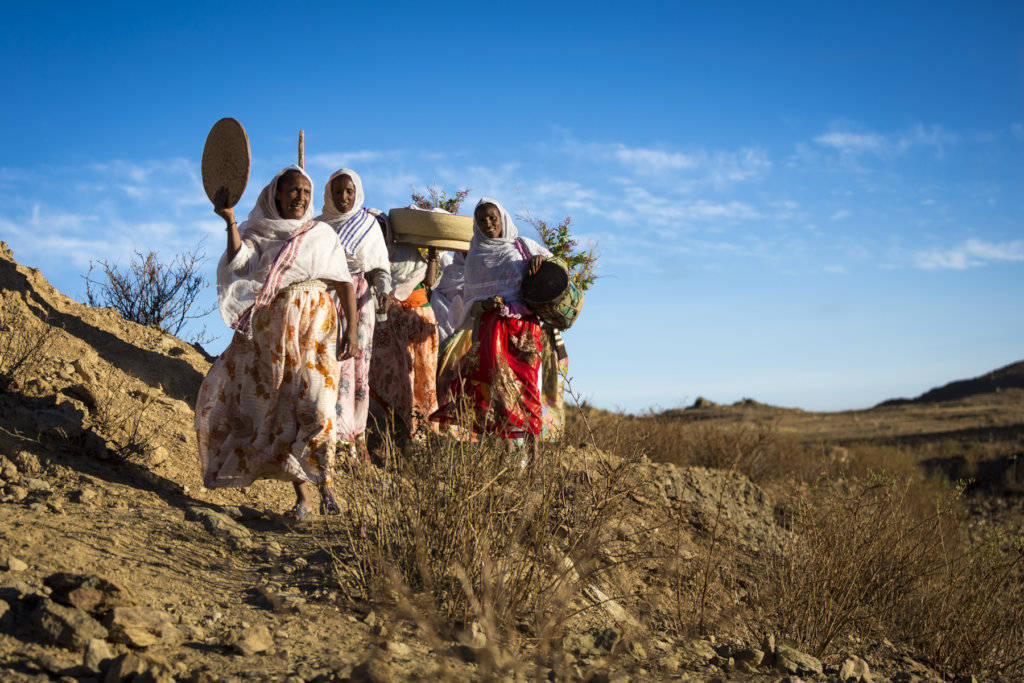 Ecological Ovens - Eritrea