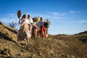 Ecological Ovens - Eritrea