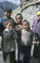Limi kids