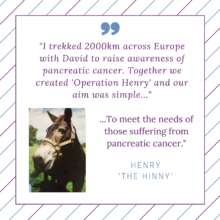 Henry The Hinny