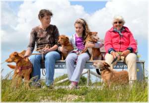 Time together as a family
