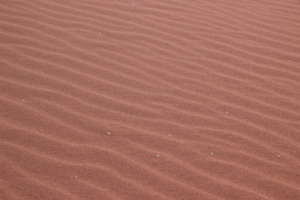 Sacred sands of the Kalahari