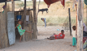 Bushman community