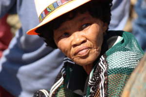 Bushmen Renaissance and Re-emergence