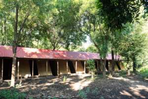 Completed bamboo A-frame houses