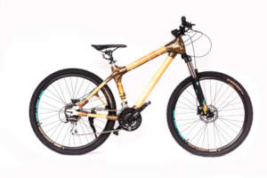 Men's Mountain Bike
