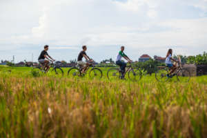 East Bali Bamboo Bikes Social Enterprise Appeal