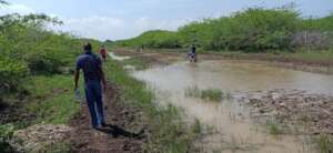 Roads to the schools