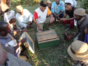 Beekeeping technician Jevago runs a workshop