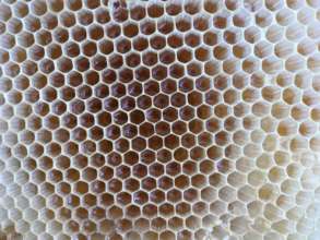Beekeeping remains a sustainable livelihood