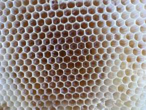Beekeeping remains a sustainable livelihood