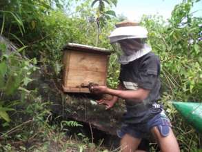 Jevago will be the man training local beekeepers