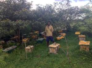 Mora Soalia standing amongst some of his beehives