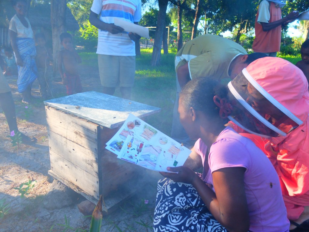Safeguard Bees and Beekeepers in Madagascar