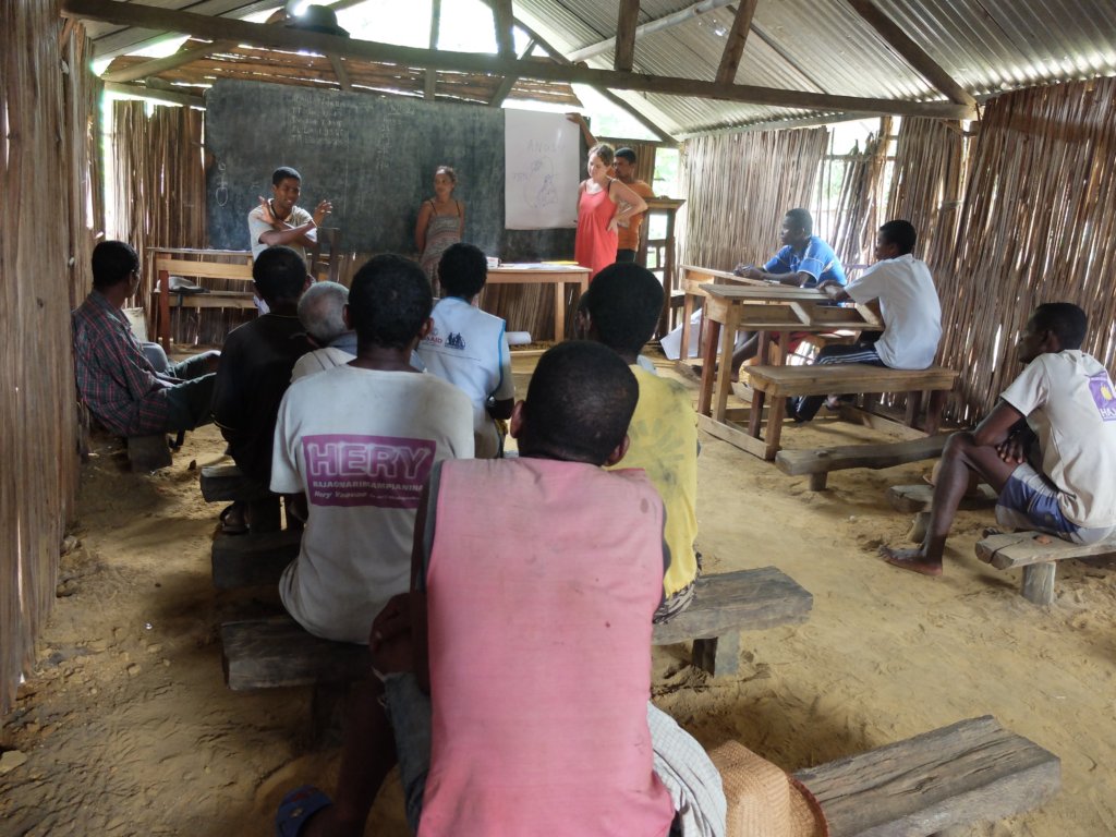 Safeguard Bees and Beekeepers in Madagascar