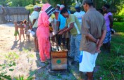 Safeguard Bees and Beekeepers in Madagascar