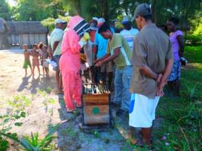 Safeguard Bees and Beekeepers in Madagascar