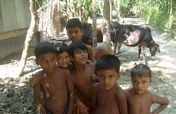 Household Latrines and Safe Water for 150 Adivasi