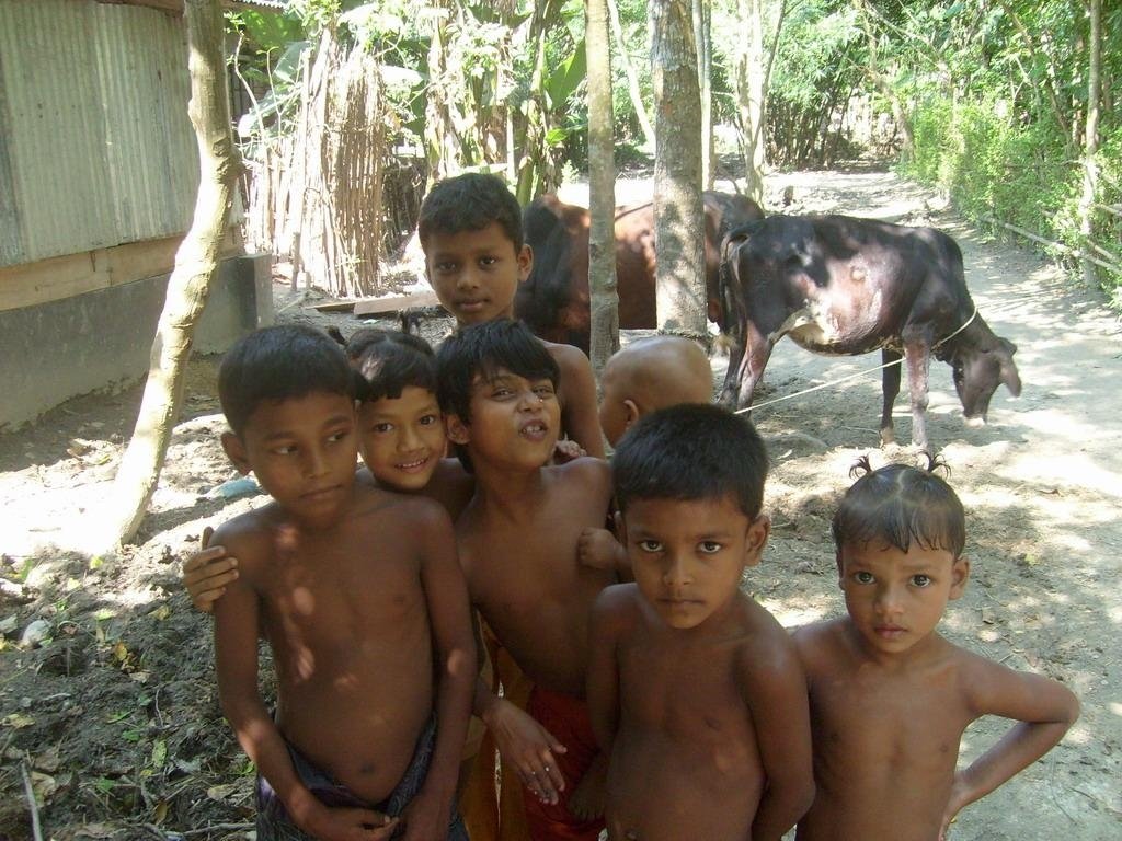 Household Latrines and Safe Water for 150 Adivasi