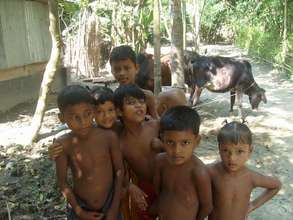 Household Latrines and Safe Water for 150 Adivasi