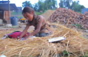 Rescue 10 Child Laborers from Brick Kilns in Nepal